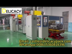 Delicacy Brand tam otomatik 2 parça konserve üretim hattı